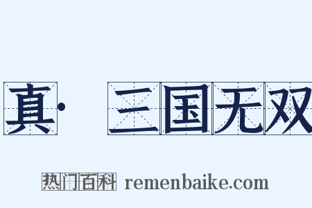 真·三国无双是什么意思的图片